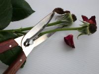 Bloemplukschaar